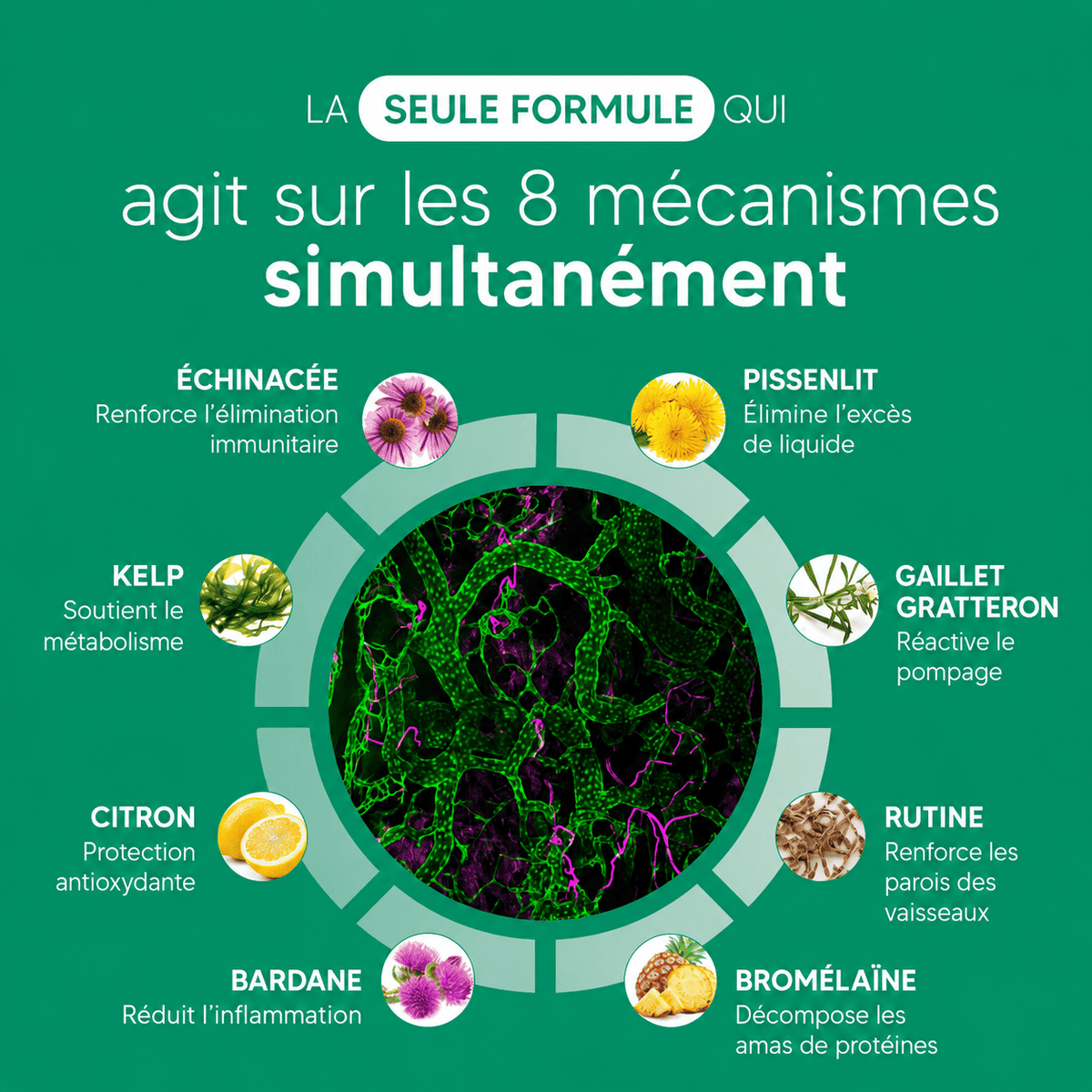 Drainelle - Gélules de Drainage Lymphatique