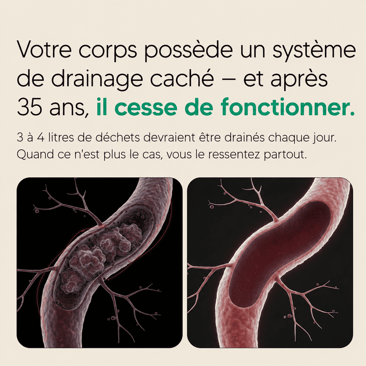 Drainelle - Gélules de Drainage Lymphatique