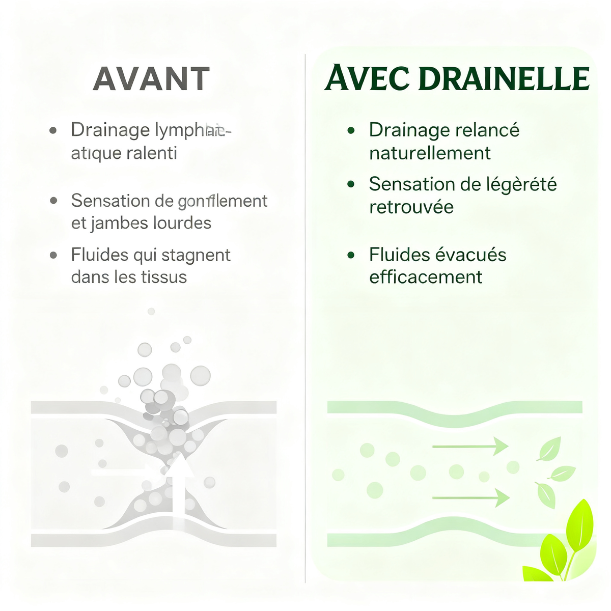 Drainelle - Gélules de Drainage Lymphatique